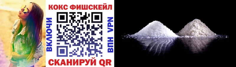 Cocaine Fish Scale  Купить закладки  Арзамас 