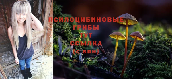 дживик Нефтегорск