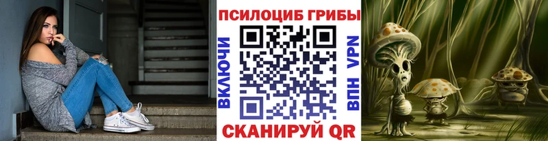 Купить где  Арзамас  Псилоцибиновые грибы мухоморы 